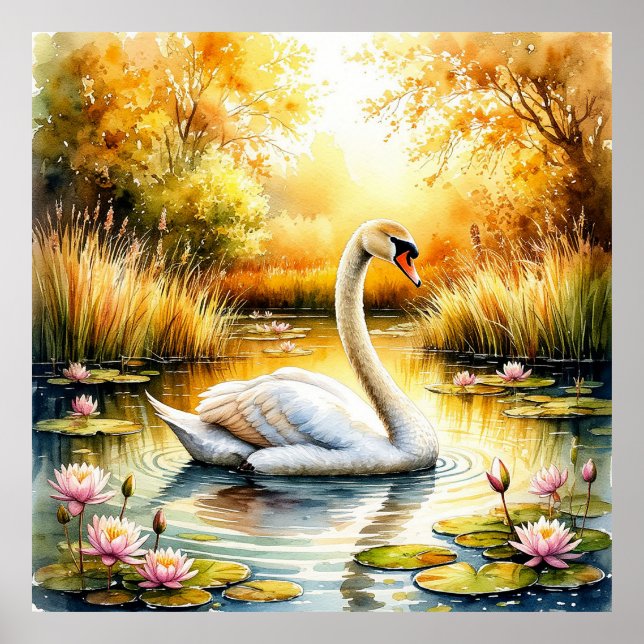 Elegant Swan Gliding in Tranquil Pond Poster (Front)