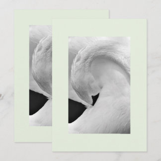 Elegant swan invitations 5x7 for wedding etc.