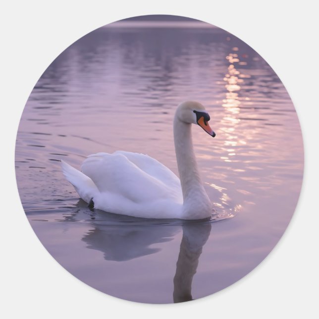 Elegant Swan Sunset Classic Round Sticker (Front)