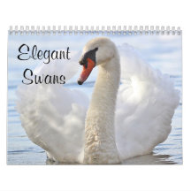 Elegant Swans