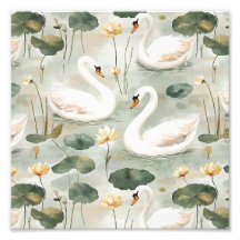 Elegant swans