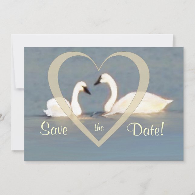 Elegant Swans Save the Date Announcement (Front)