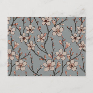 Elegant Sweet Pink Flower Blossom Cherry Pattern Postcard