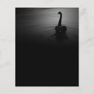 Elegant Swimming Black Swan Flyer