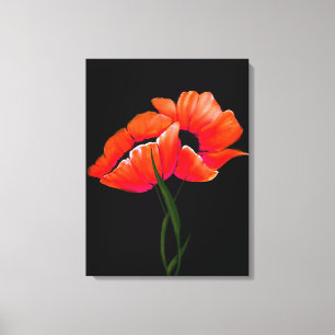 Elegant Tangerine Poppies on Black Canvas Print