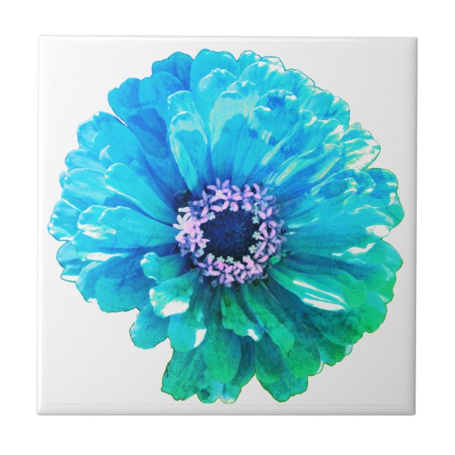 Elegant Teal Blue flower floral daisy Tile (Front)