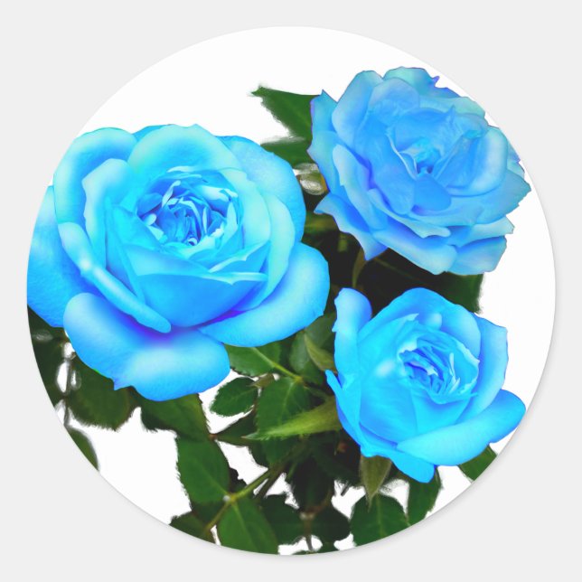 Elegant teal blue roses blue floral blue flowers classic round sticker (Front)
