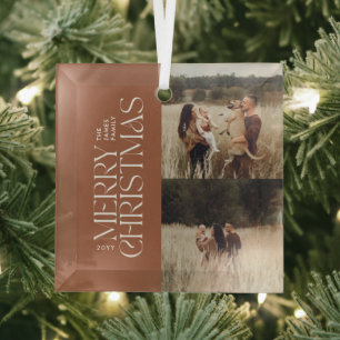 Elegant terracotta foliage modern minimal photo glass tree decoration