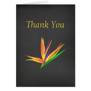 Elegant Thank You for Your Sympathy