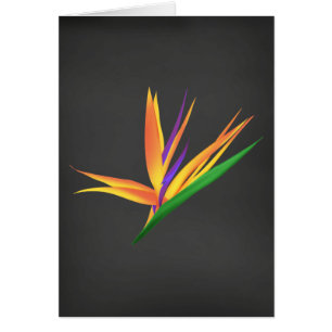 Elegant Thank You for Your Sympathy