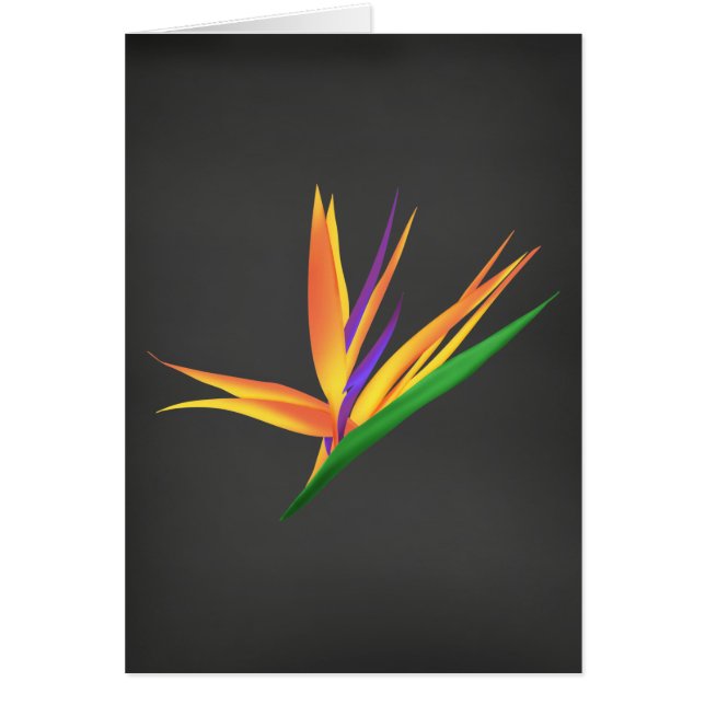 Elegant Thank You for Your Sympathy (Front)