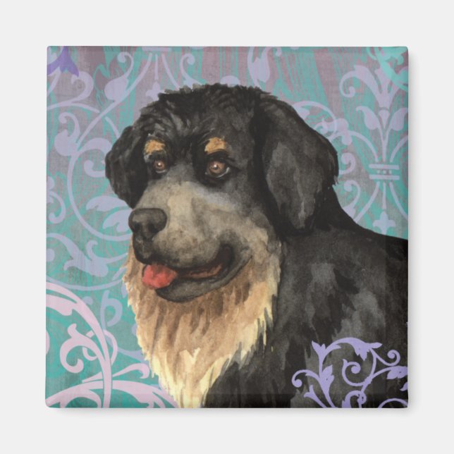 Elegant Tibetan Mastiff Magnet (Front)