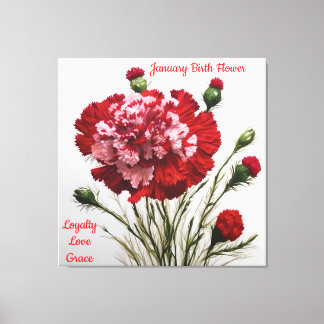 Elegant & Timeless January Birth Flower Carnation  Canvas Print