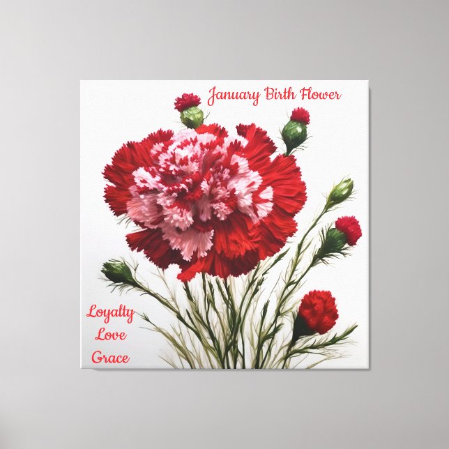 Elegant & Timeless January Birth Flower Carnation  Canvas Print (Front)