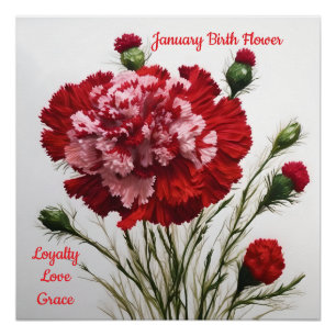 Elegant & Timeless January Birth Flower Carnation Poster