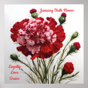 Elegant & Timeless January Birth Flower Carnation Poster
