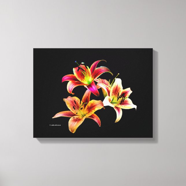 Elegant Trio of Yellow Pink Daylilies Floral Canvas Print (Front)