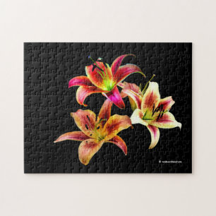 Elegant Trio of Yellow Pink Daylilies Floral Jigsaw Puzzle