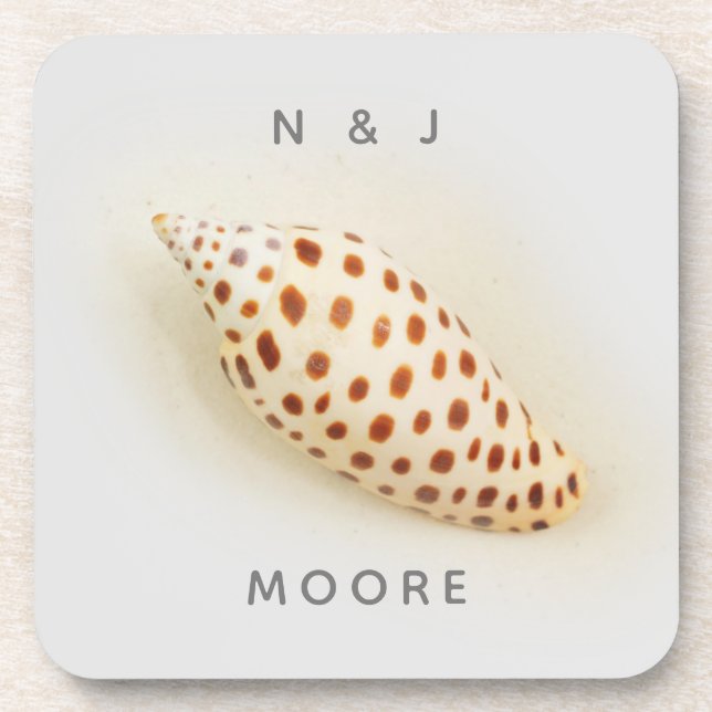 Elegant Tropical Junonia Florida Beach Shell Name Coaster (Front)