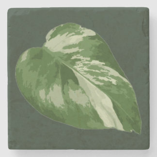 Elegant Tropical Leaf Coaster – Rare Plant Art