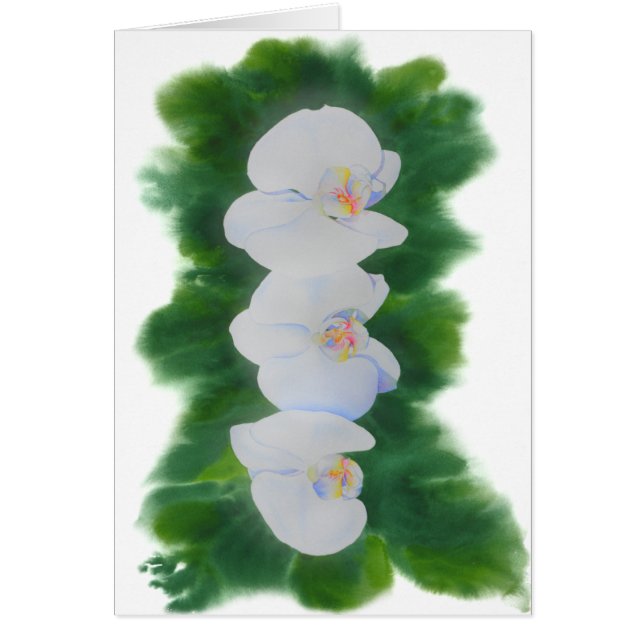 Elegant tropical white watercolor orchid painting  (Front)