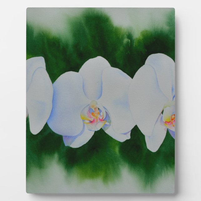 Elegant tropical white watercolor orchid painting  plaque (Front)