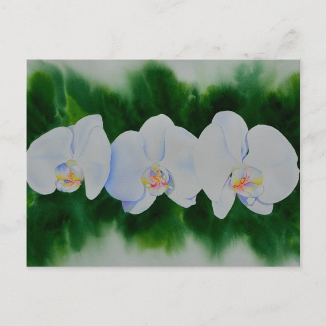 Elegant tropical white watercolor orchid painting  postcard (Front)