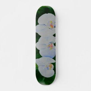 Elegant tropical white watercolor orchid painting  skateboard