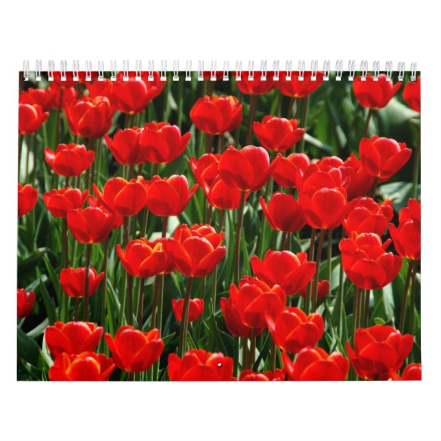 Elegant Tulip and Rose Floral Flowers Photography Calendar (Cover)