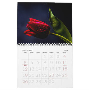 Elegant Tulip and Rose Floral Flowers Photography Calendar