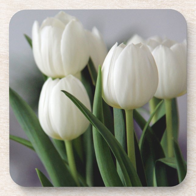 Elegant Tulip and Rose Floral Flowers Photography Coaster (Front)