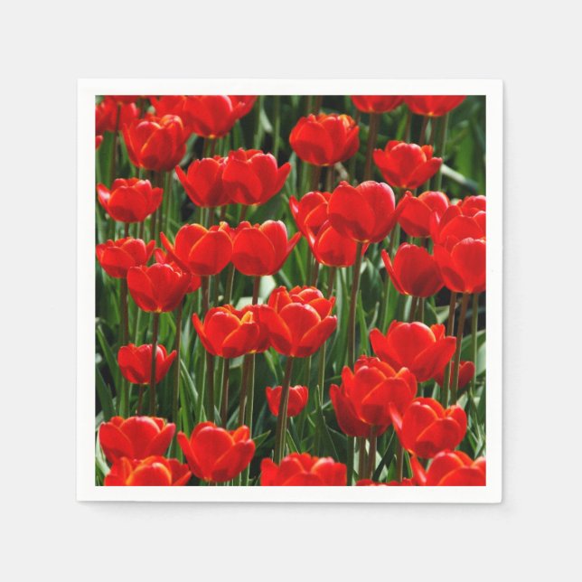 Elegant Tulip and Rose Floral Flowers Photography Napkin (Front)