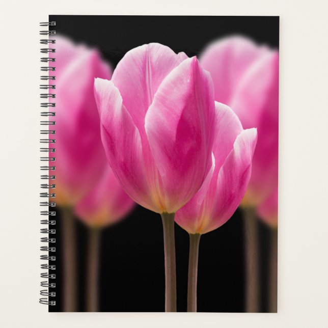 Elegant Tulip and Rose Floral Flowers Photography Planner (Front)