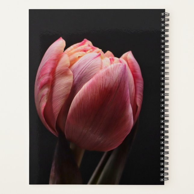 Elegant Tulip and Rose Floral Flowers Photography Planner (Back)