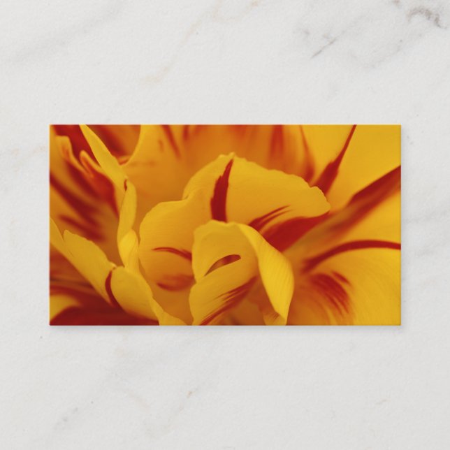 Elegant Two-Tone Red Gold Monsella Tulip Business Card (Front)
