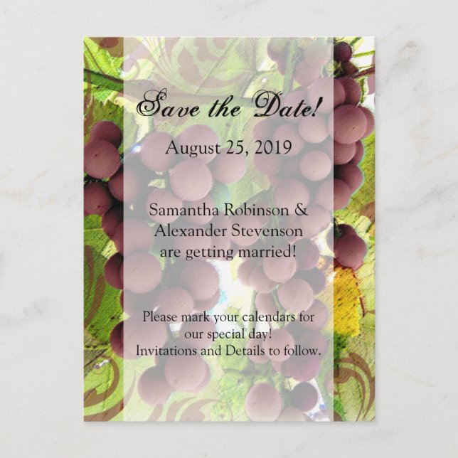 Elegant Vineyard Purple/Green Grapes Save the Date Announcement Postcard (Front)