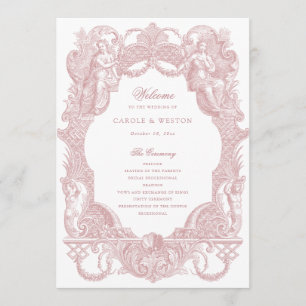 Elegant Vintage Baroque Frame Dusty Rose Toile Programme