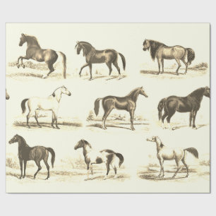 Elegant Vintage Beige Cream Toile Horse Breeds Wrapping Paper