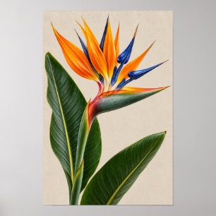 Elegant Vintage Bird of Paradise Floral Wall Art –