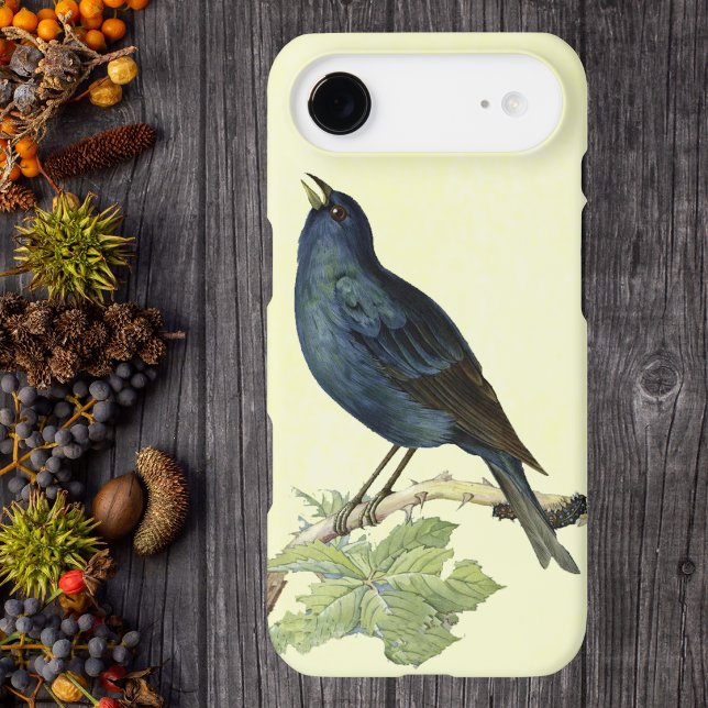 Elegant Vintage Black Bird Yellow (Singing black bird on branch leaves caterpillar on pale yellow phone case.)