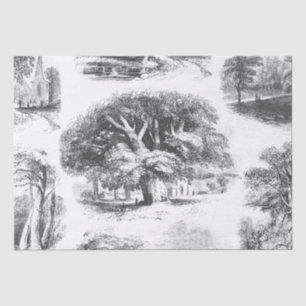Elegant Vintage Black White Big Tree Toile Tissue Paper