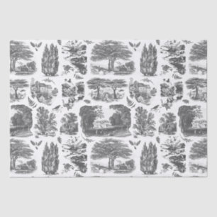 Elegant Vintage Black White Country French Toile Tissue Paper