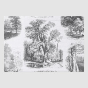 Elegant Vintage Black White French Country Toile Tissue Paper