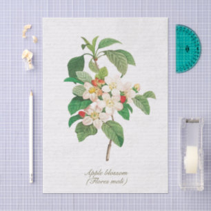 Elegant Vintage Botanical Apple Blossom Tissue Paper