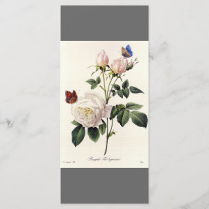 Elegant vintage botanical art grey bookmark programme