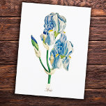 Elegant Vintage Botanical Blue Iris Flower Postcard<br><div class="desc">Vintage botanical Illustration of an iris blossom, very elegant, sophisticated and classy artwork for a chic romantic home decor and nature or flowers lover. It is Tennessee's state flower. Tennessee gardeners frequently grow Irises to form attractive borders in their gardens, or to enjoy as cut flowers. It is also the...</div>
