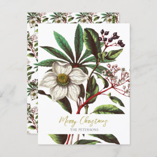 Elegant Vintage Botanical Christmas Rose Flower Postcard