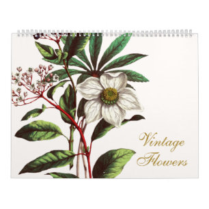 Elegant Vintage Botanical Flower Illustrations Calendar