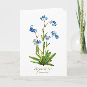 Elegant Vintage Botanical Forget Me Not Flower Holiday Card