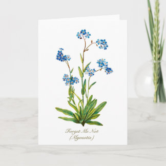 Elegant Vintage Botanical Forget Me Not Flower Holiday Card